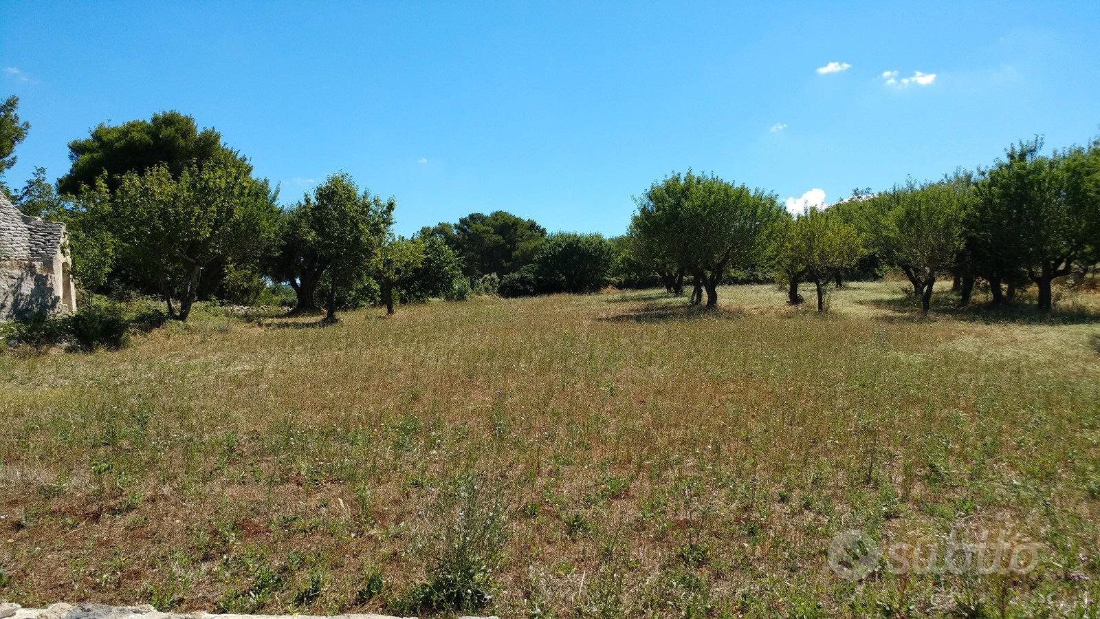 Terreno edificabile e Trulli - Vista 3