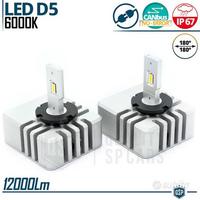Lampadine LED D5S Conversione Xenon 6000K 12000LM