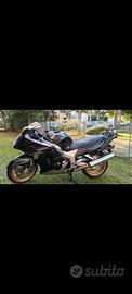 Cbr xx 1100 superblackbird