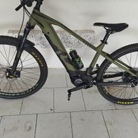 Bicicletta elettrica