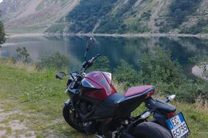 Kawasaki z800 sugomi