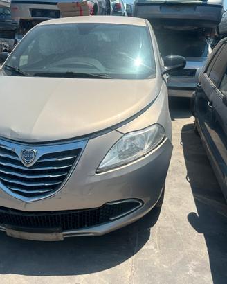Ricambi ypsilon 2015
