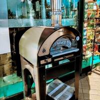 forno a legna cottura diretta Arde Baby