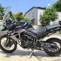 Triumph Tiger 800 XCx solo 12.500 km