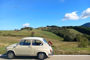 fiat 600 d 1966