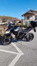 Triumph Tiger 900 - 2024