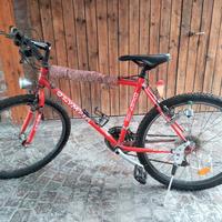 Bicicletta Olympia Vintage