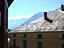 Immagine 13