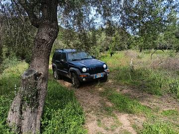 fuoristrada 4x4 jeep
