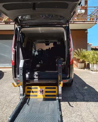 KIT PARAPLEGICO SALI & GUIDA VAN