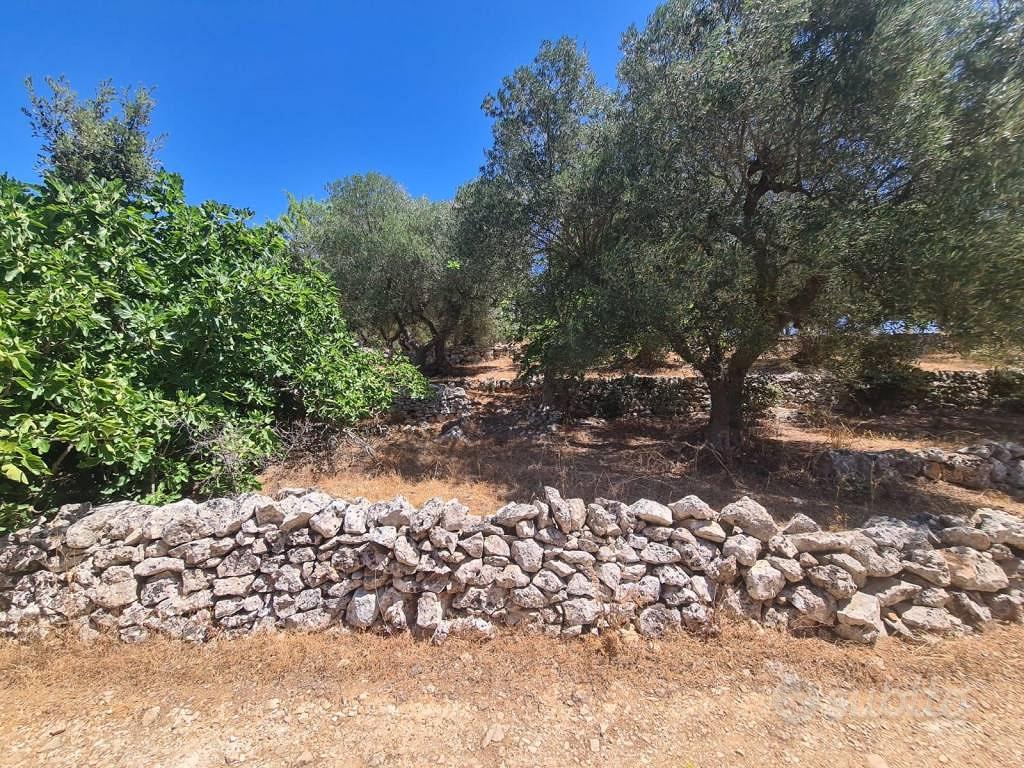 Terreno di 3550 m² a Alberobello - Vista 3