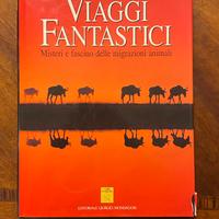 "Viaggi Fantastici" Misteri E Fascino Delle Migraz