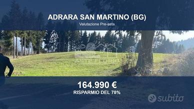 Immobile in asta di 30968 m² a Adrara San Martino