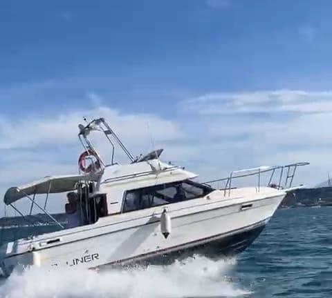 Barca Bayliner 2556 fly