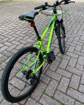 MOUNTAIN BIKE 24