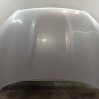 COFANO ANTERIORE NISSAN Qashqai 1° Serie F5100BR0