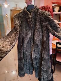 pelliccia castorino 