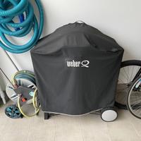 Barbecue Weber Q 320
