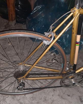 Bicicletta vintage ideale per eroica