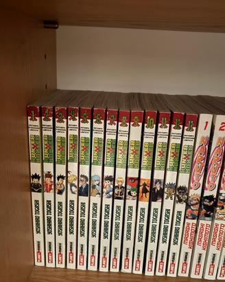 Hunter x hunter