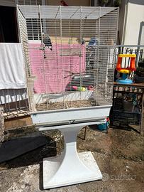 Gabbia per ucelli