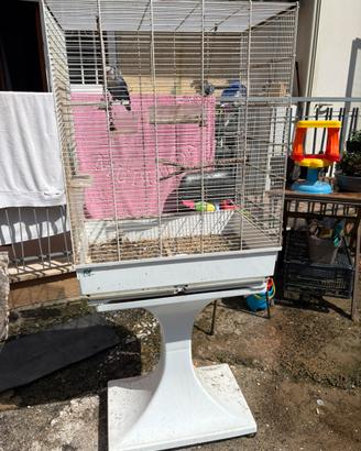 Gabbia per ucelli