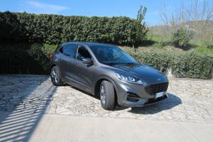 Ford Kuga 1.5 Diesel 120 CV N1 (Autocarro 5 posti)