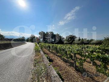 Terreno Agricolo Alife [Cod. rif 3325629VCG]