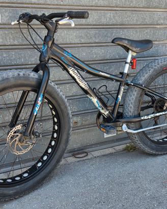 Bici 24" Fat Bike Lombardo in Alluminio