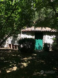 Terreno con rustico