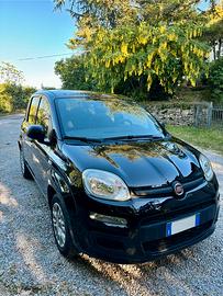 Fiat Panda Easy 1.2 Benzina