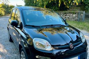 Fiat Panda Easy 1.2 Benzina
