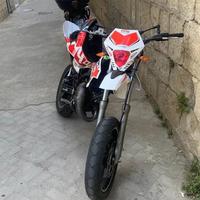 Beta rr50 2019