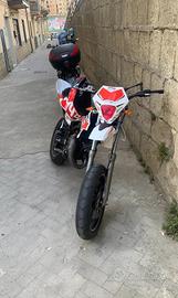 Beta rr50 2019