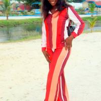 Cameriera ai piani, lavapiatti operaio agricolo