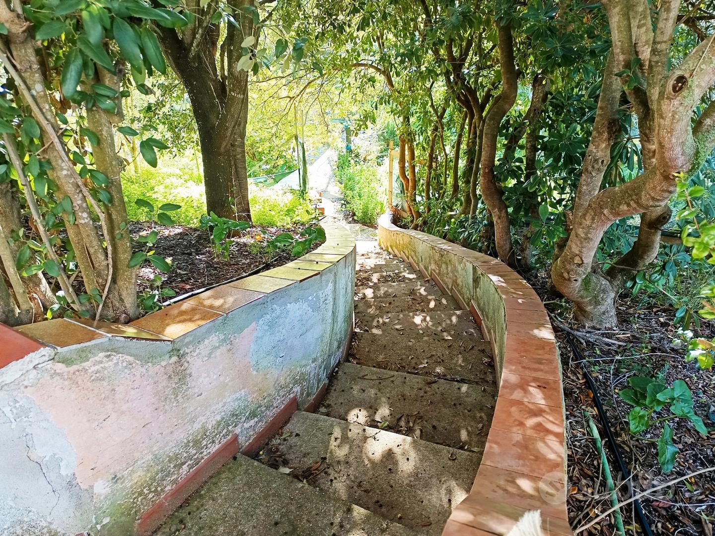 Casa – Sassari, Monte Oro - Vista 5