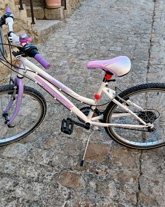 mountain-bike 24 