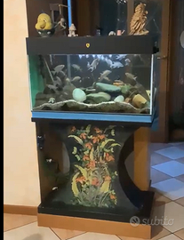 Acquario completo da 120litri (accessori e pesci)