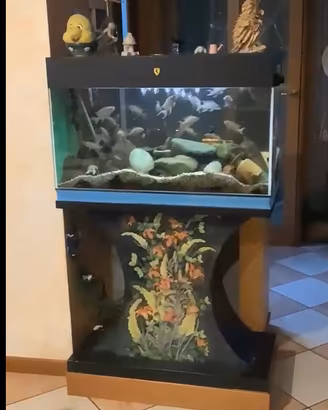 Acquario completo da 120litri (accessori e pesci)