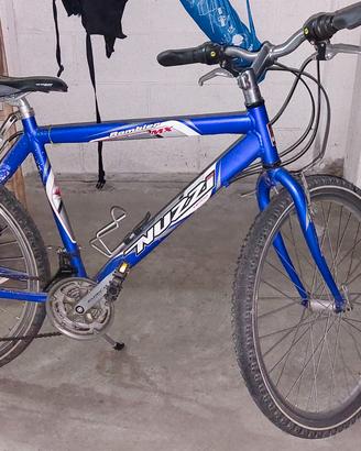 Mountain bike ragazzo 26 pollici 