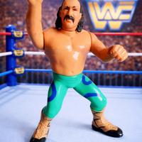 Jake The Snake Roberts WWF Hasbro Figure Series 1