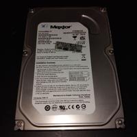 Hard Disk Maxtor DiamondMax 21 da 80 Gb Pata