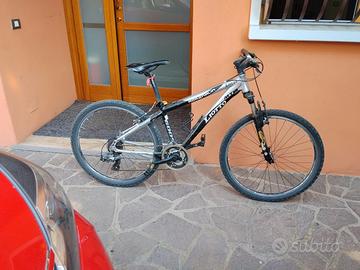 bici liotto ragazzo 
