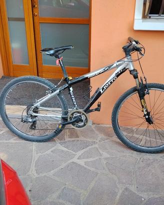 bici liotto ragazzo 