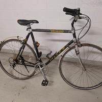 Bici da passeggio