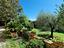 Immagine 19