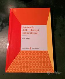 Sociologia delle relazioni internazionali