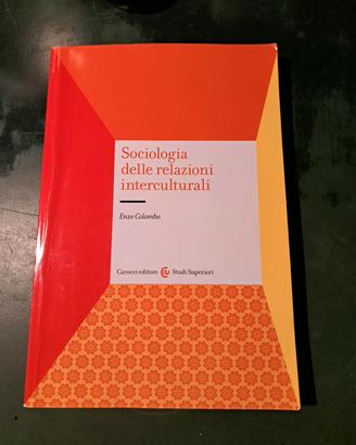 Sociologia delle relazioni internazionali