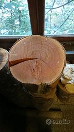 Legno di ciliegio grezzo