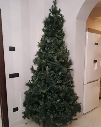 albero di natale 